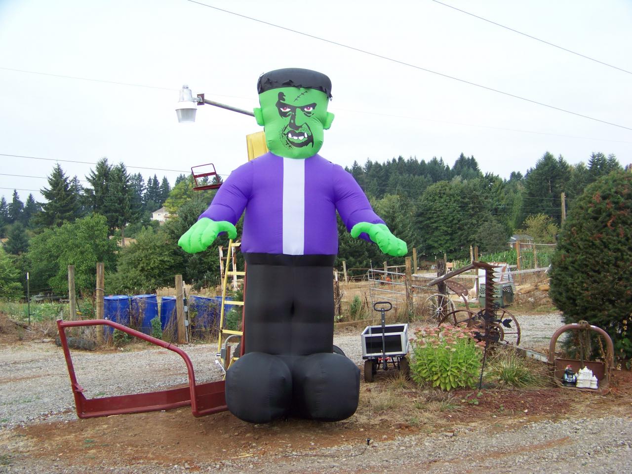 A giant inflatable Frankenstein beside the farm yard