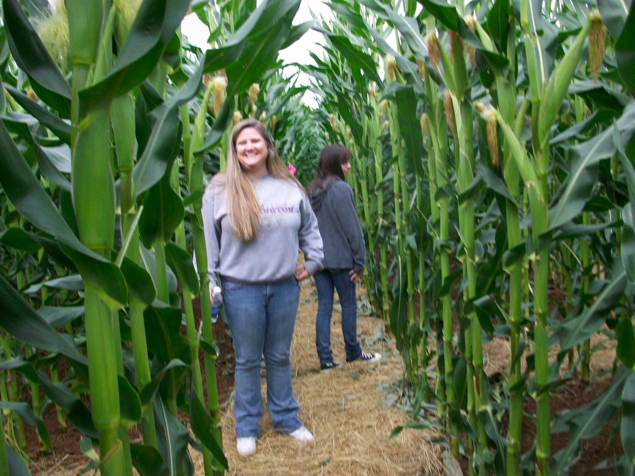 Two visitors standing in a path between tall rows of corn